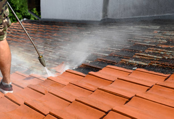 Best Sidewalk Pressure Washing  in Bolingbrook, IL