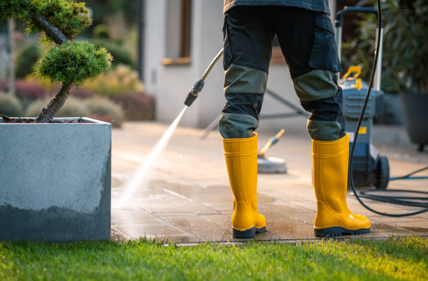 Best Roof Power Washing Services  in Bolingbrook, IL